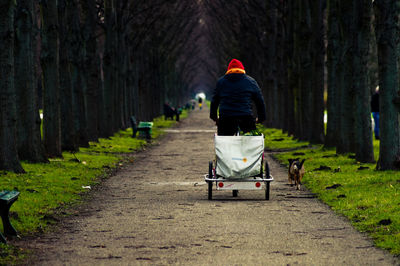 Rear view of man riding tricycle on pathway amidst bare trees at park