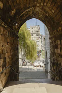 Trees and buildings in city