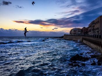 Seagulls fly over the sea of ortigia at dawn