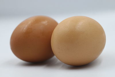 Close-up of eggs against white background