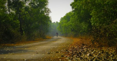 Person riding bicycle on road amidst trees