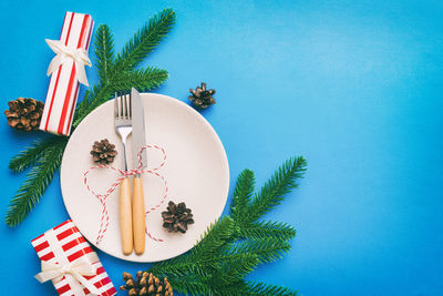 Directly above shot of potted plant on table