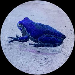 Close-up of blue background
