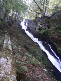 Waterfall in forest