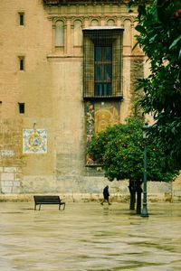 Rear view of man sitting on bench in park