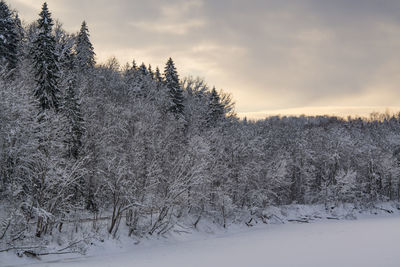 Scenic view of snow covered landscape