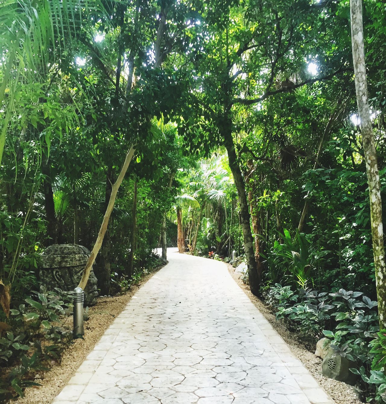 A Spring Day Stroll