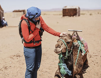 Female western tourist with hijab pats a camel in the desert, morocco