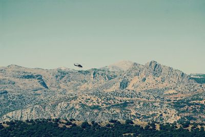 Birds flying over mountains against clear sky