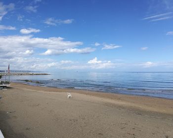 Scenic view of beach against blue sky