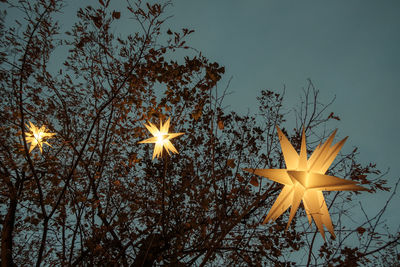 Low angle view of tree against sky