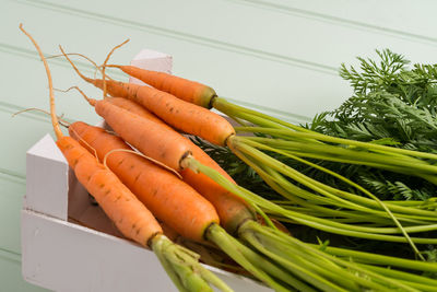 Close-up of vegetables