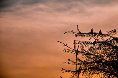 Low angle view of silhouette birds against sky during sunset