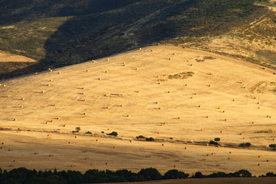 High angle view of land