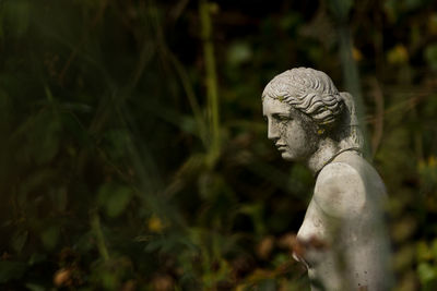 Close-up of old statue against plants