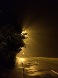 Road along trees