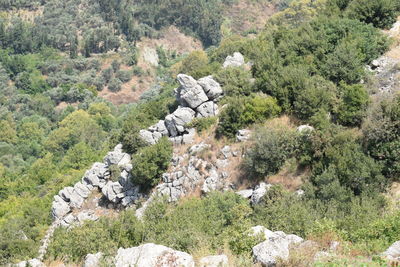 High angle view of rocks on land