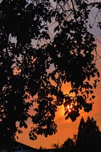 Low angle view of silhouette tree against sky at sunset