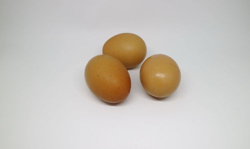 High angle view of eggs against white background