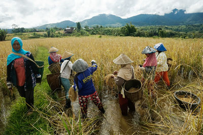 People working on field