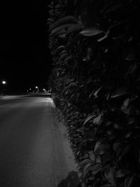 Road amidst trees against sky at night