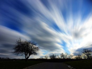 Silhouette trees by road against sky