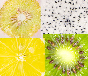 Digital composite image of fruits on plant