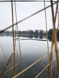 Scenic view of lake against clear sky during winter