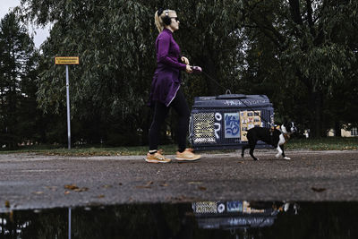 Dog walking on street against trees