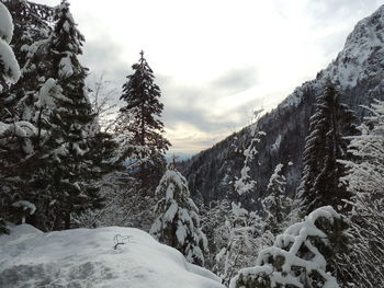 Scenic view of snow covered mountains against sky