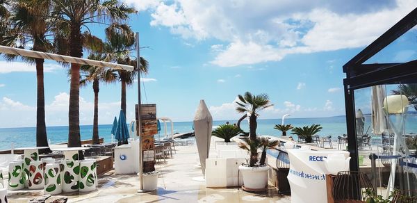 Potted plants on the beach