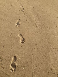 High angle view of footprints at beach