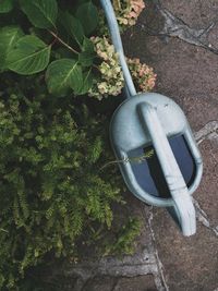 Close-up of coin-operated binoculars against plants