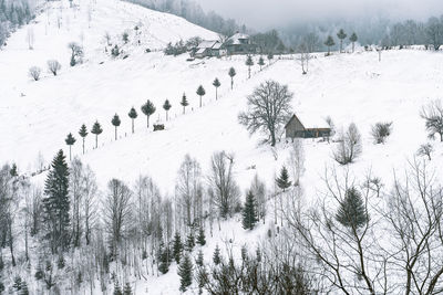 Sce ic view of snowy hill in rural area during winter