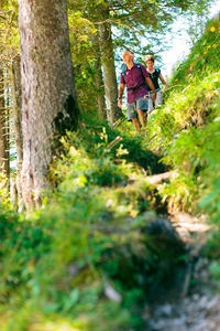 Low angle view of people walking in forest