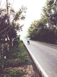 Man walking on road along trees