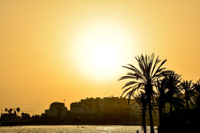 Silhouette palm trees against sky during sunset