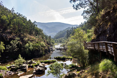 Scenic view of river by trees against sky