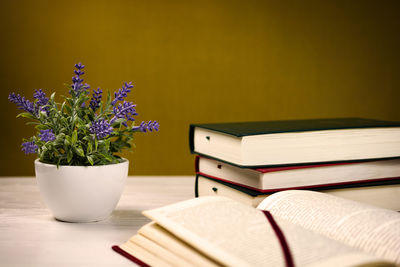 Close-up of flower vase on table