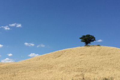 Scenic view of landscape against blue sky