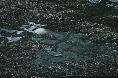 High angle view of puddle on field during winter