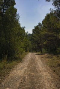 Road amidst trees in forest against sky