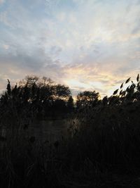Scenic view of field against sky at sunset