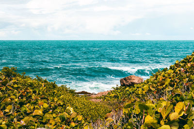 Scenic view of sea against sky