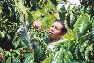 Portrait of smiling man with vegetables on plant