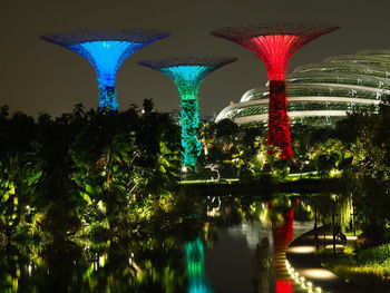 View of illuminated trees at night