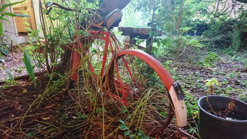 Rusty wheel on field in forest