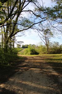 Road amidst trees on field against sky