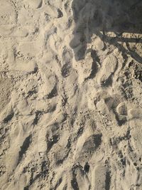 High angle view of footprints on sand at beach