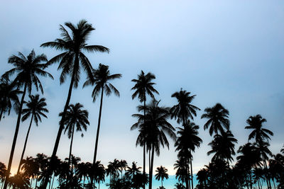 Low angle view of silhouette palm trees against clear sky